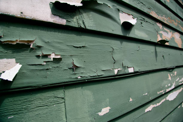 Best Garage Cleanout  in Romney, WV