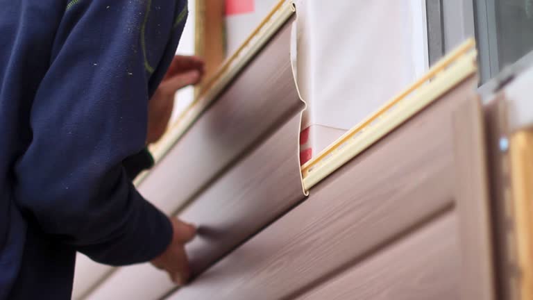 Best Carpet Removal and Disposal  in Romney, WV